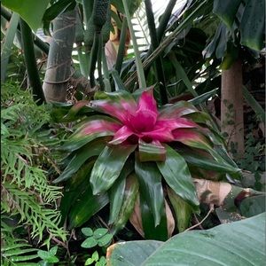 Meet your Posher, Devon